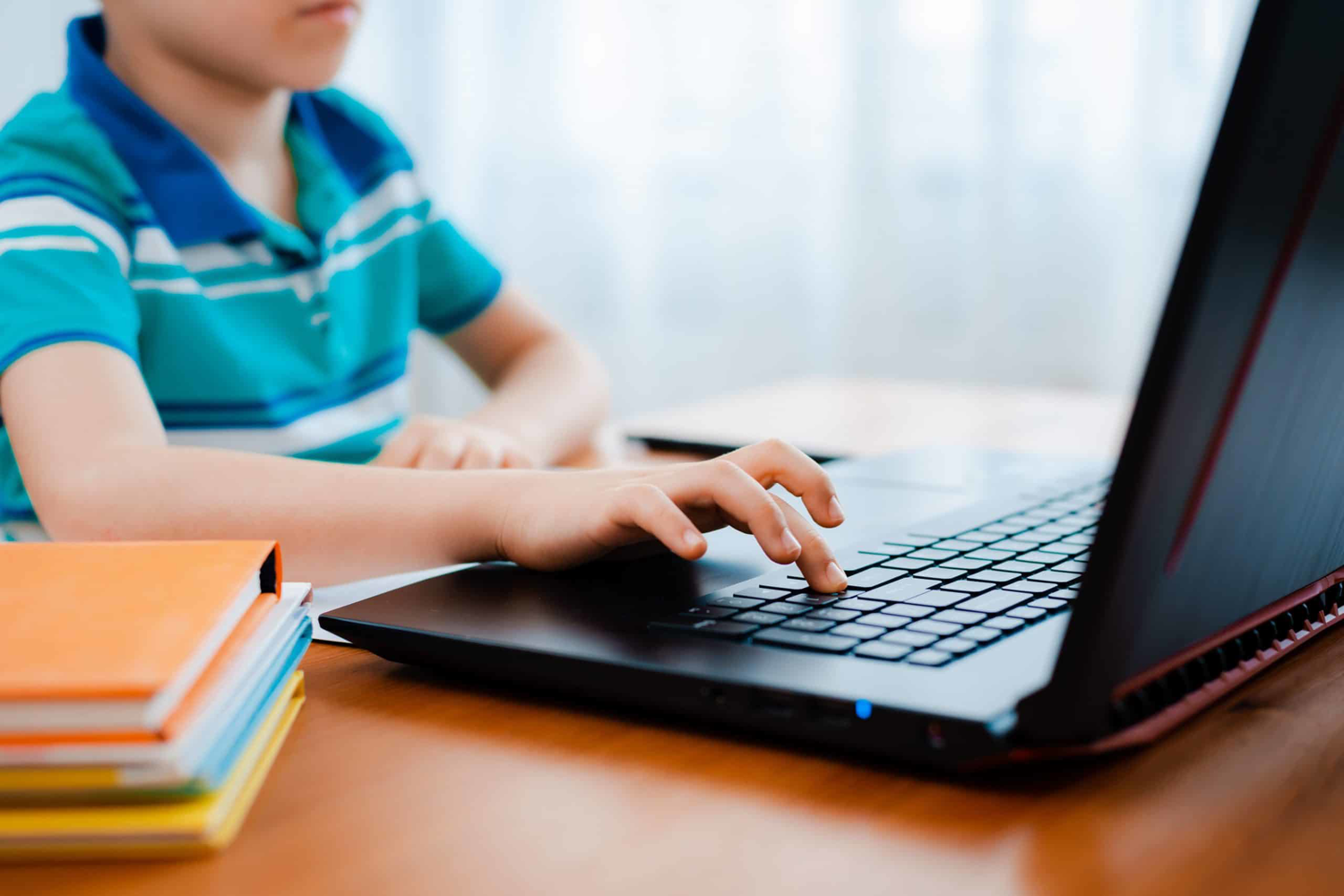 Уроки цифровой грамотности. Ребенок с ноутбуком. Дистанционное обучение школьников. Обучение дистанционно до конца года