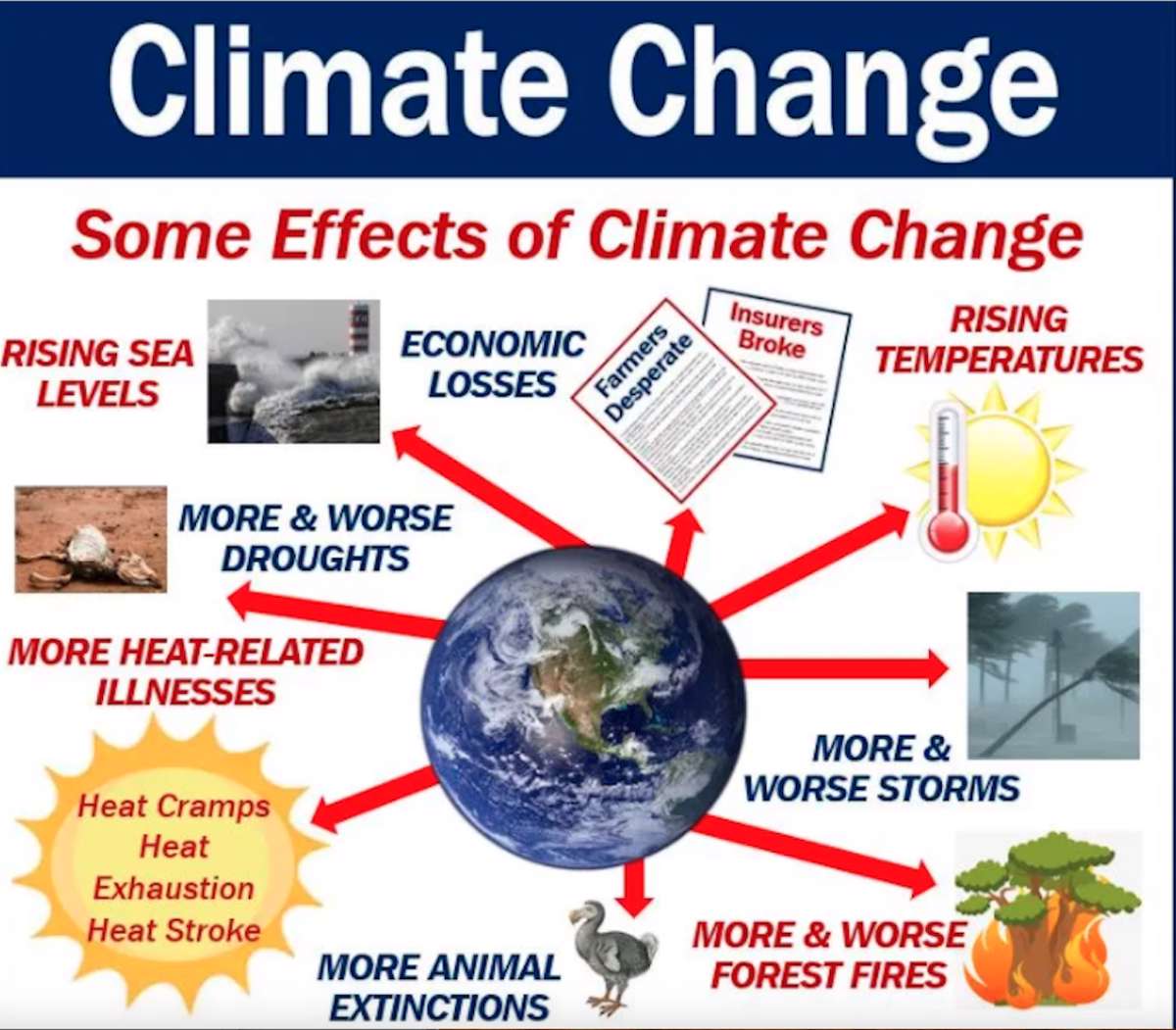 Effects of global warming. Climate change Effects. Изменение климата на англ. Climate climate change. Changeable climate.