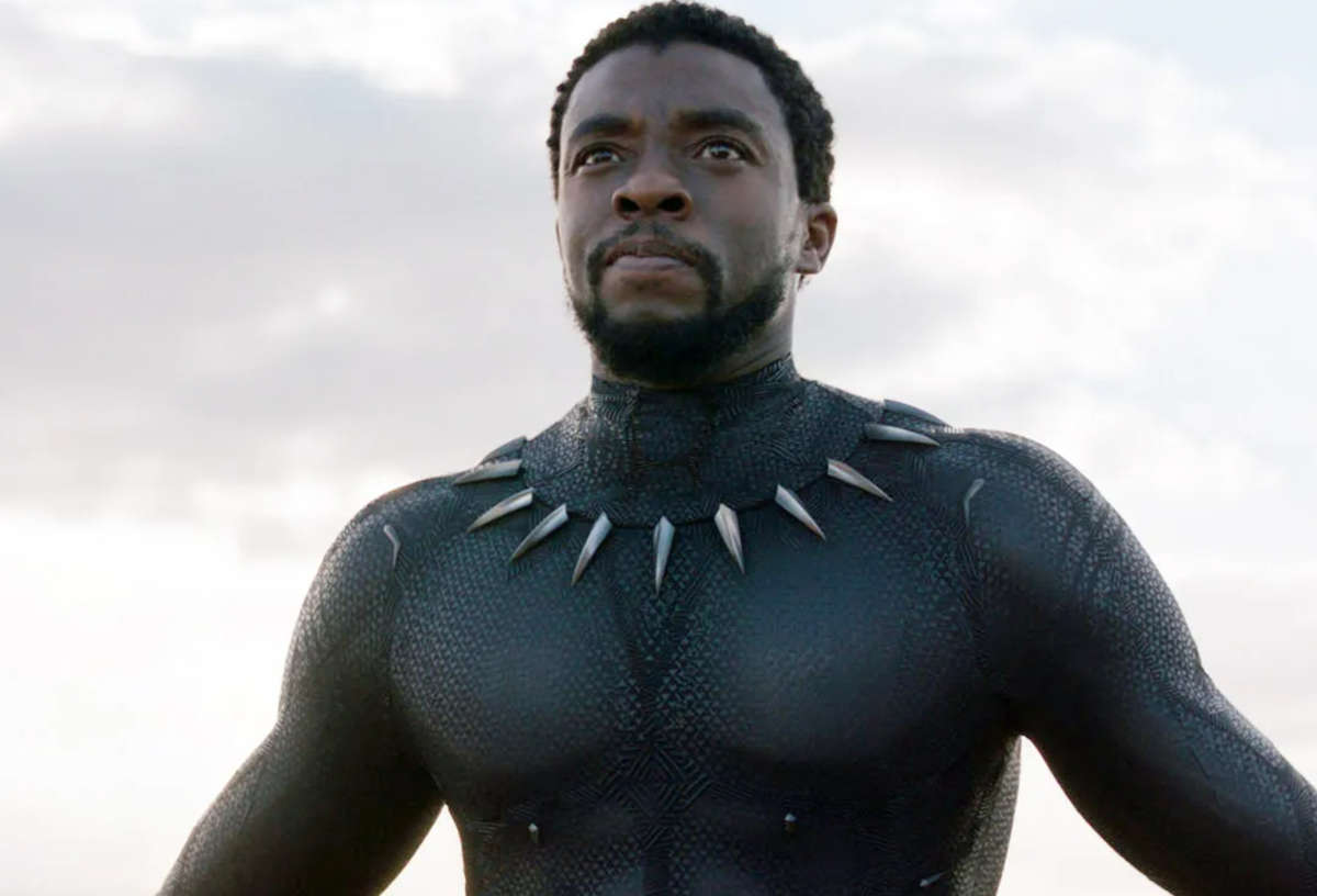 Costume for Black Panther worn by Chadwick Boseman  National Museum of  African American History and Culture